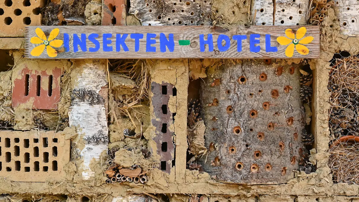 PRODUKTION - 11.05.2021, Brandenburg, Sieversdorf: Ein Insektenhotel für Wildbienen und andere Insekten. Bei Bienen denkt fast jeder erstmal an die Honigbiene. Doch gerade die weniger bekannten Wildbienen sind gefährdet. Foto: Patrick Pleul/dpa-Zentralbild/ZB +++ dpa-Bildfunk +++