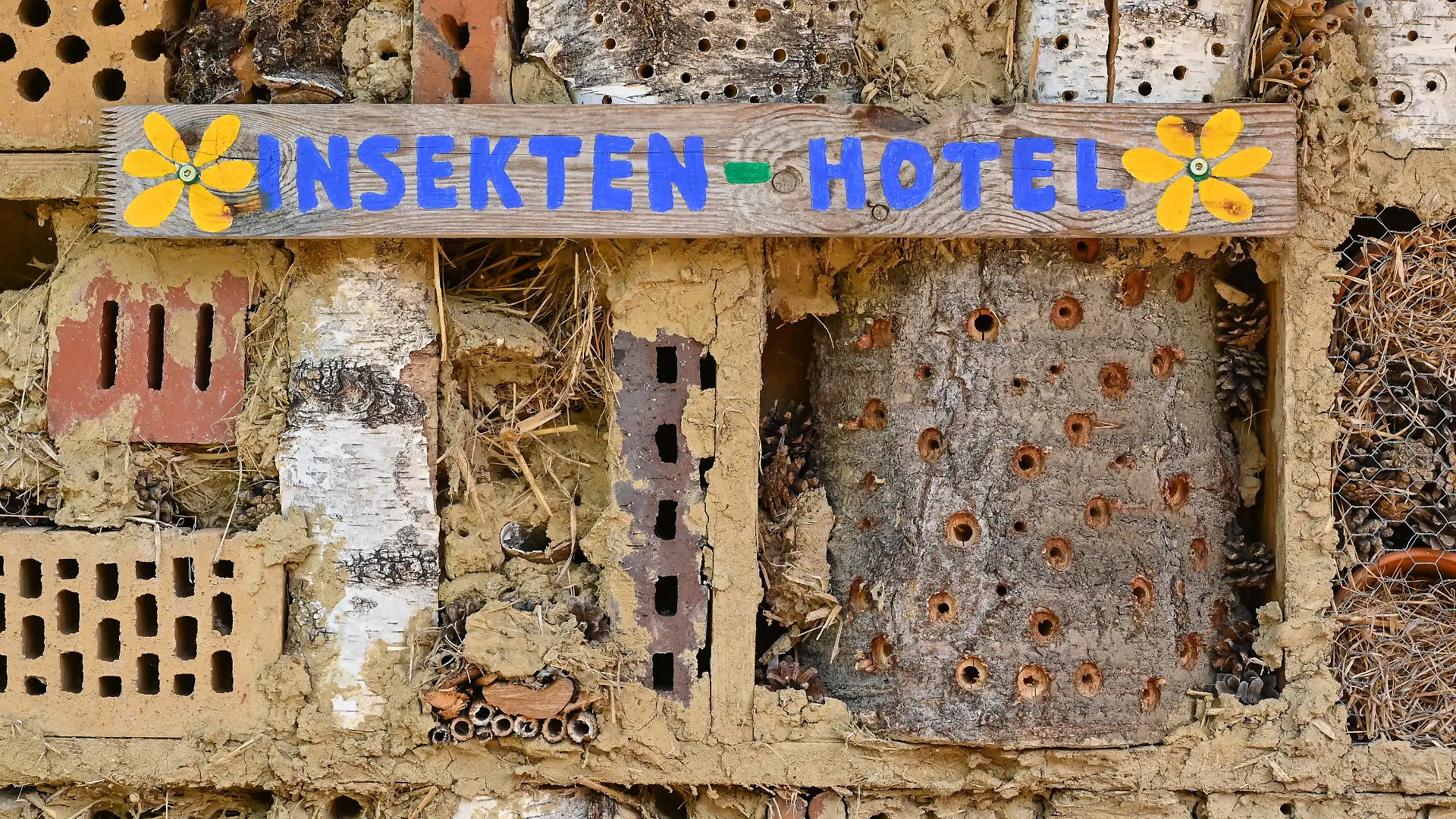 PRODUKTION - 11.05.2021, Brandenburg, Sieversdorf: Ein Insektenhotel für Wildbienen und andere Insekten. Bei Bienen denkt fast jeder erstmal an die Honigbiene. Doch gerade die weniger bekannten Wildbienen sind gefährdet. Foto: Patrick Pleul/dpa-Zentralbild/ZB +++ dpa-Bildfunk +++