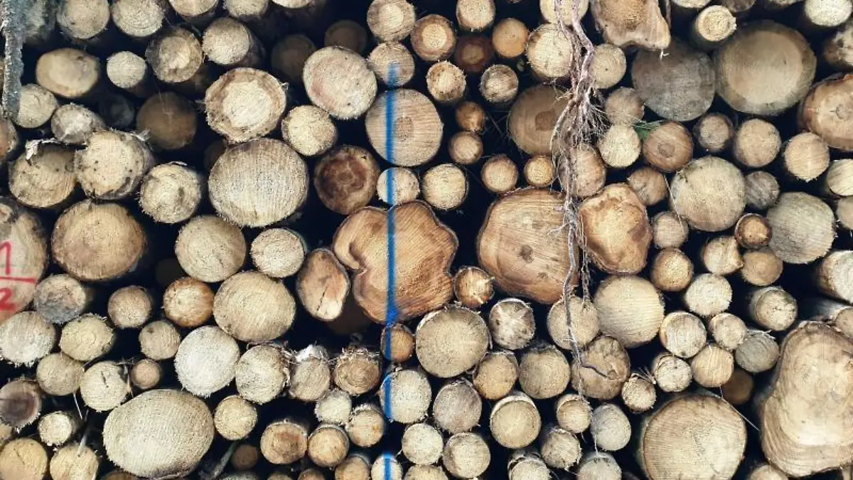 Holzpreise