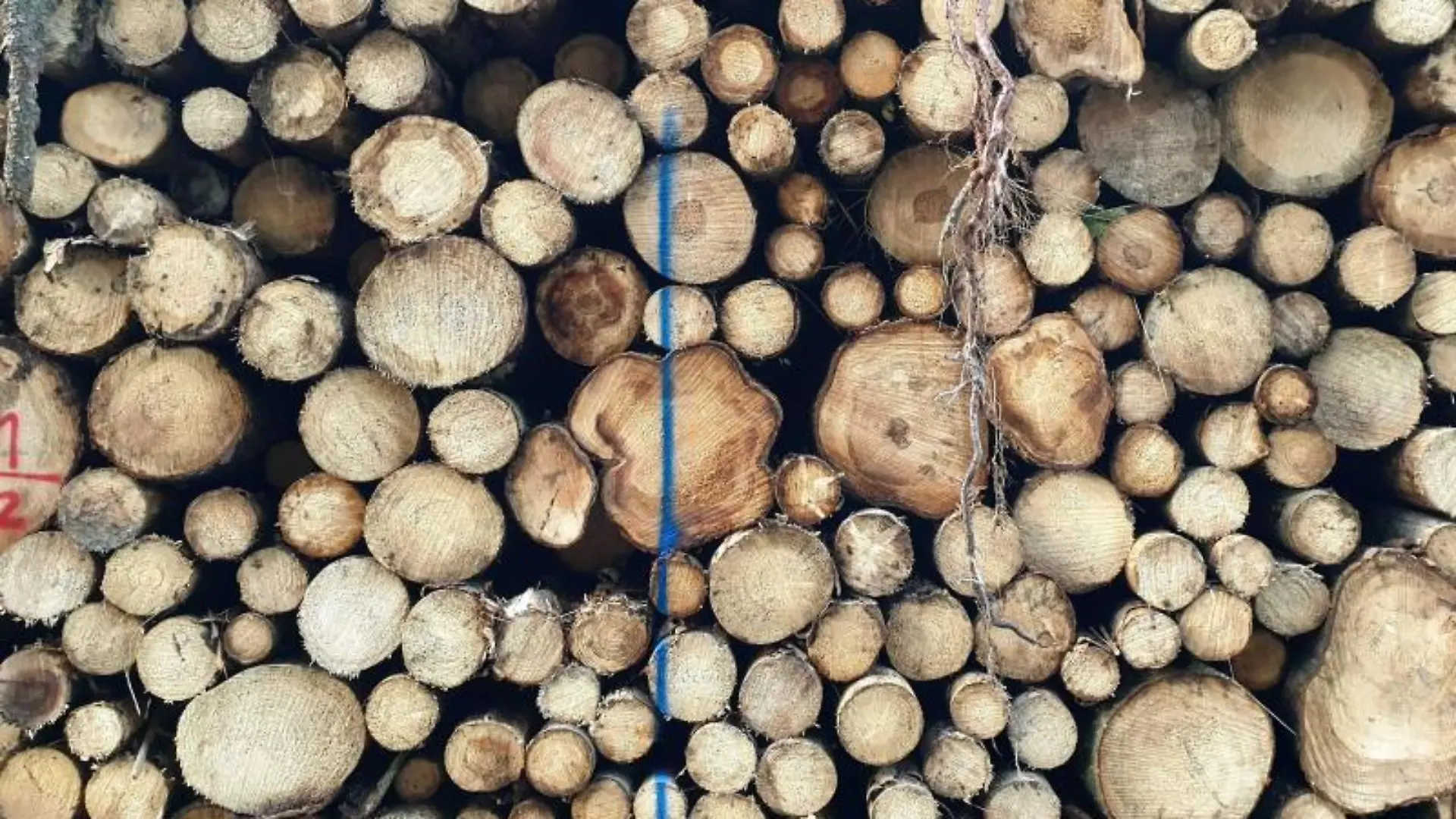 Holzpreise