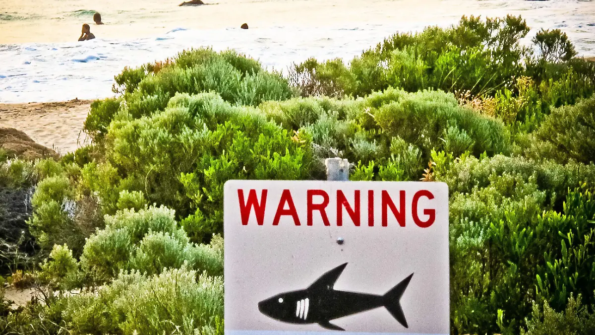 ARCHIV - 24.11.2013, Australien, Margaret River: Ein Schild mit der Aufschrift "Warning shark sighting" (dt. Achtung Hai gesichtet) ist in der Nähe von Prevelly Beach aufgestellt. (zu dpa: "Mehr tödliche Haiangriffe in Australien: Grund zur Panik oder Pech?") Foto: Rebecca Le May/AAP/dpa +++ dpa-Bildfunk +++