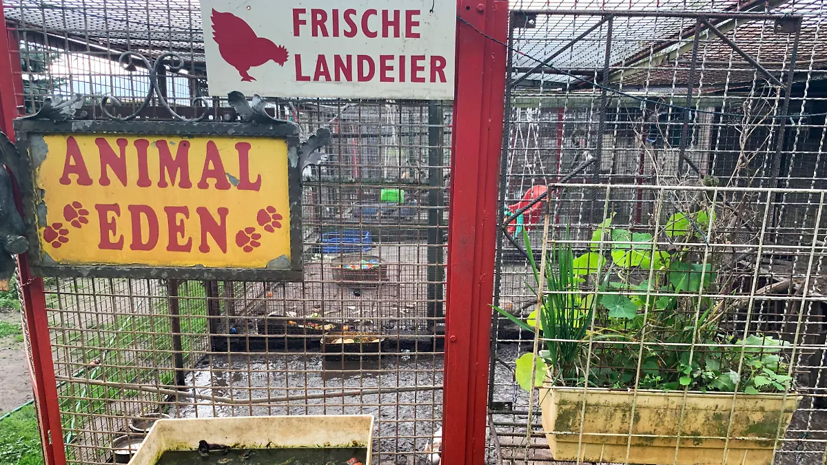 Bilder aus dem Privatzoo in Nauen
