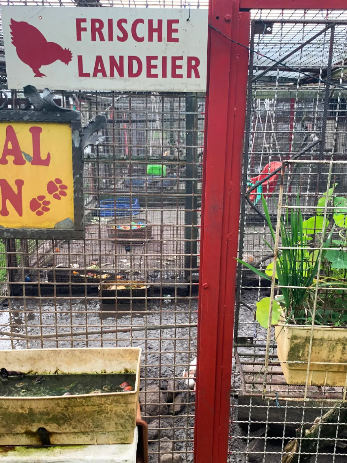 Bilder aus dem Privatzoo in Nauen