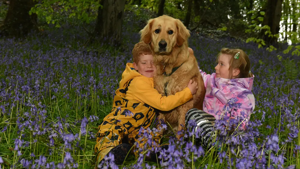 Kinder kuscheln mit Blindenhund