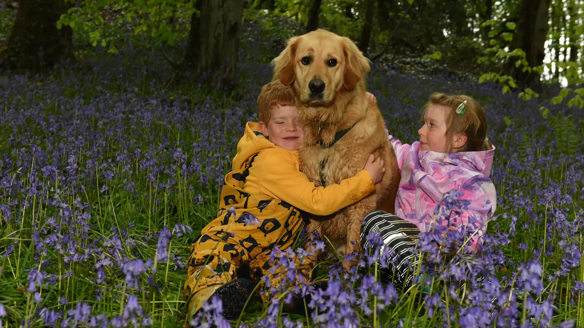 Kinder kuscheln mit Blindenhund
