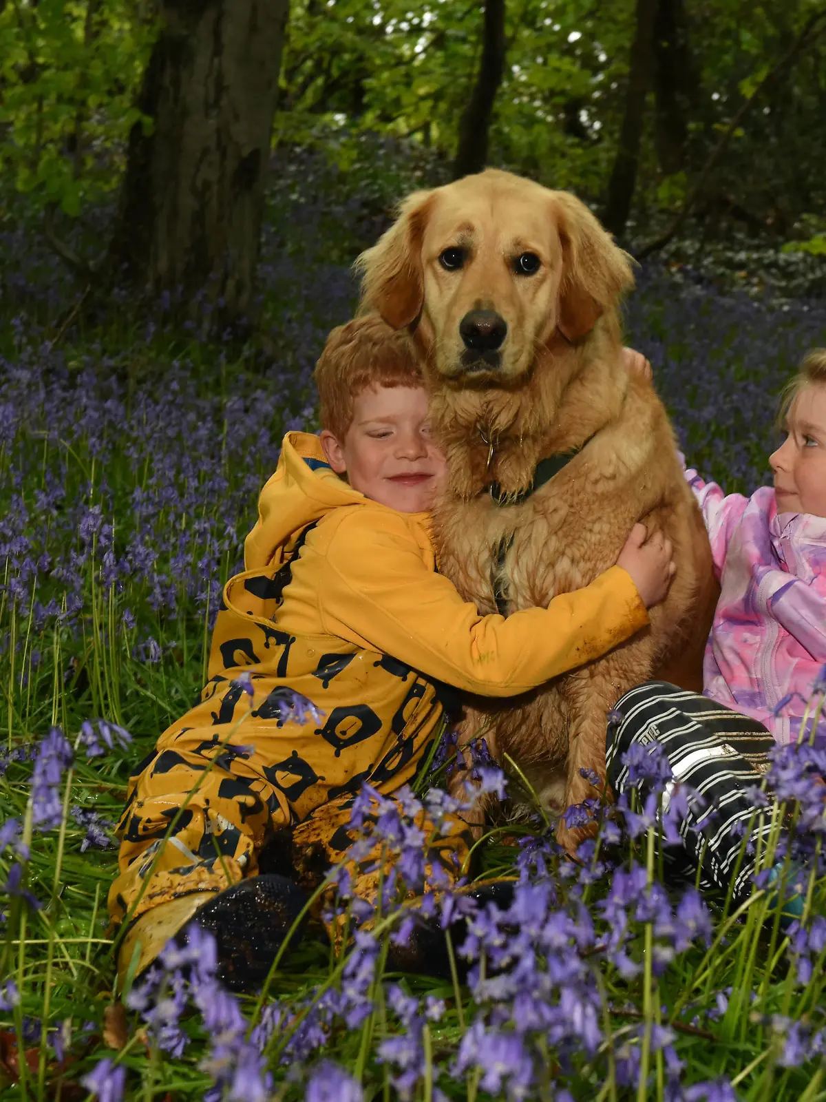 Kinder kuscheln mit Blindenhund