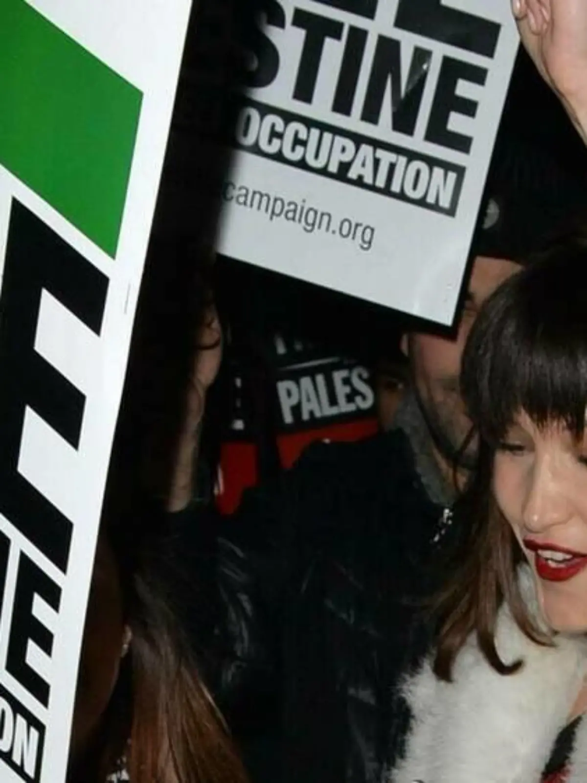 "Schäm dich": Israelische Regierung kritisiert Bella Hadid