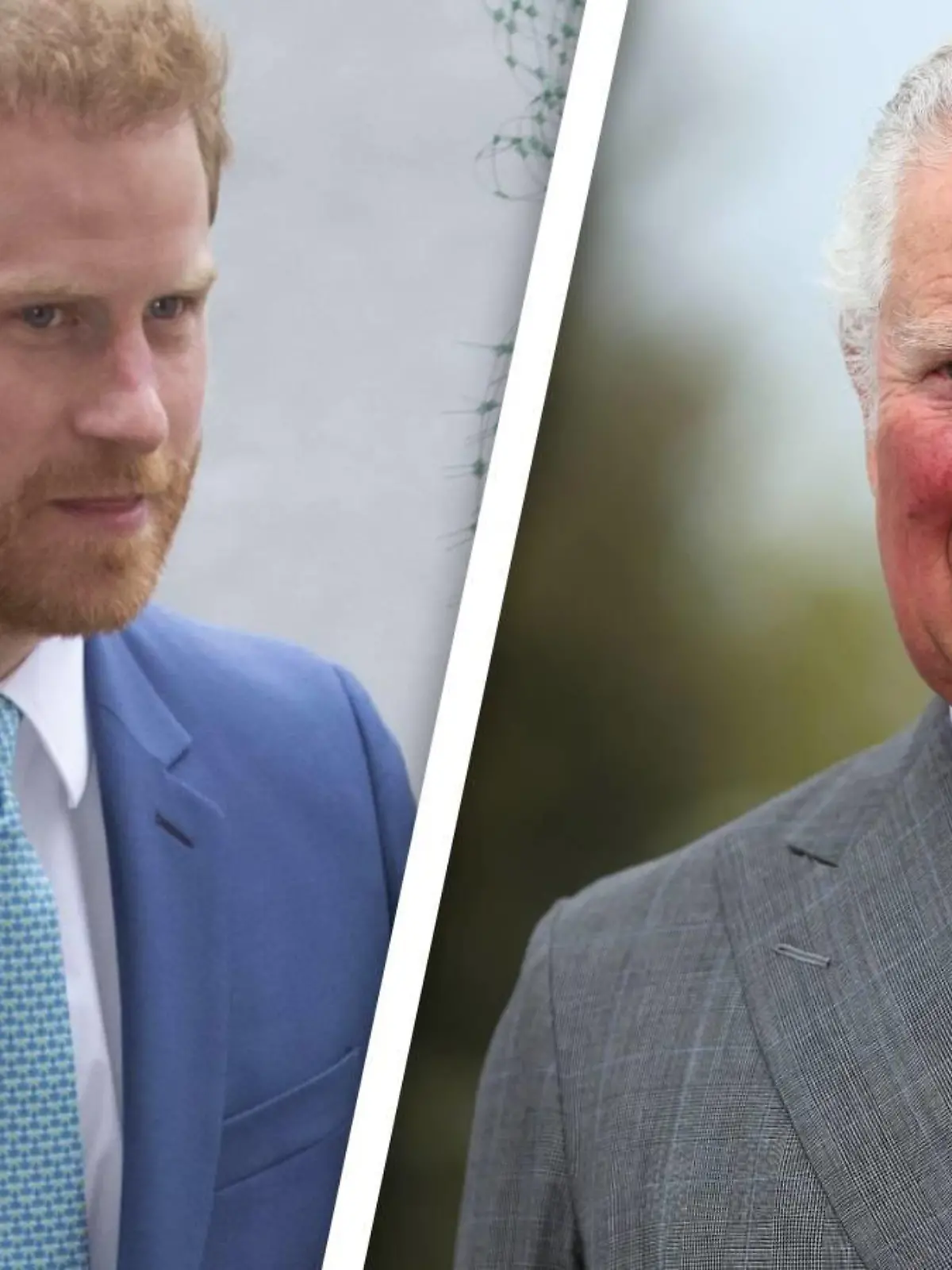 Prinz Harry und Prinz Charles