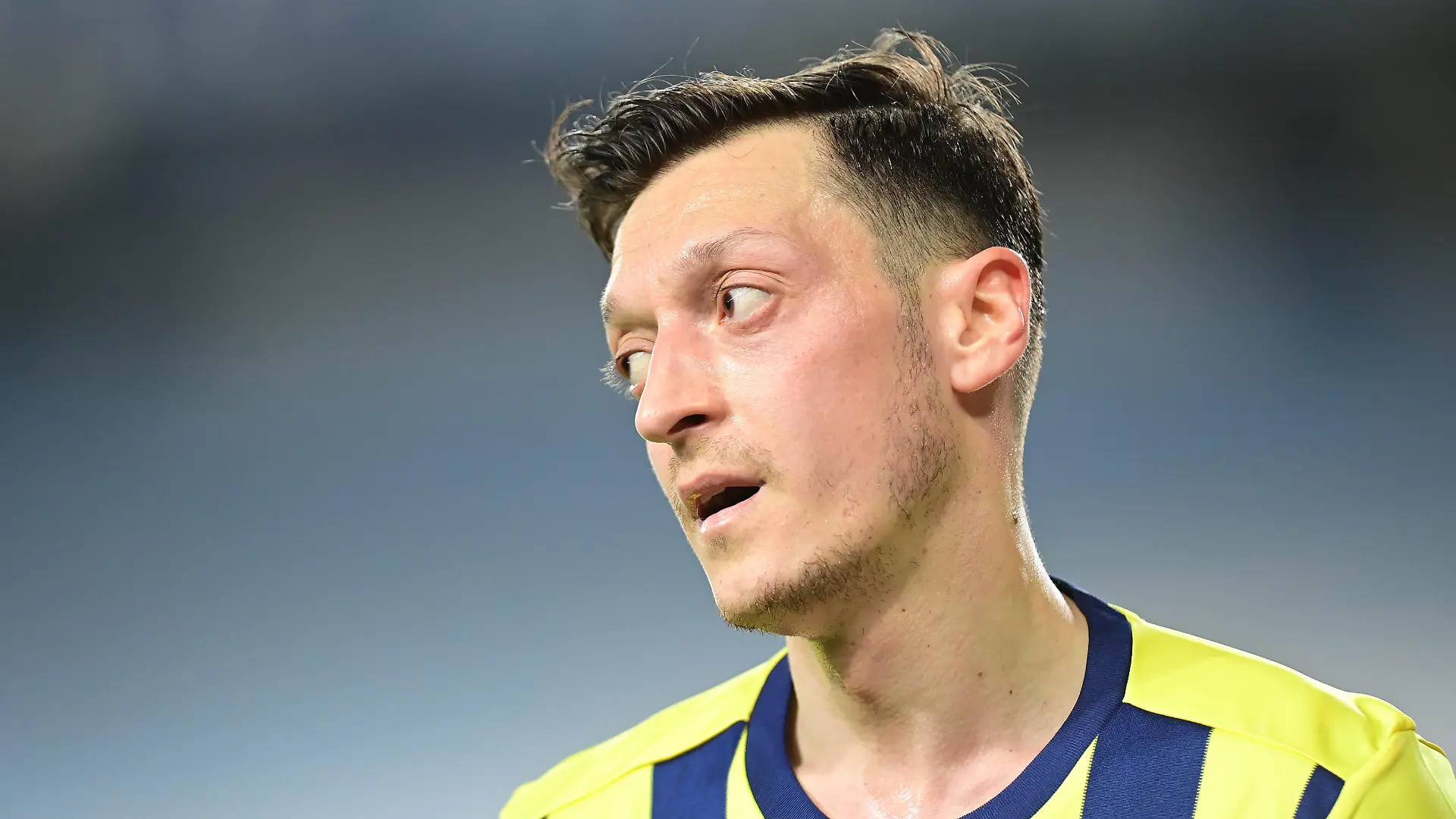 Mesut Özil, Fenerbahce Istanbul