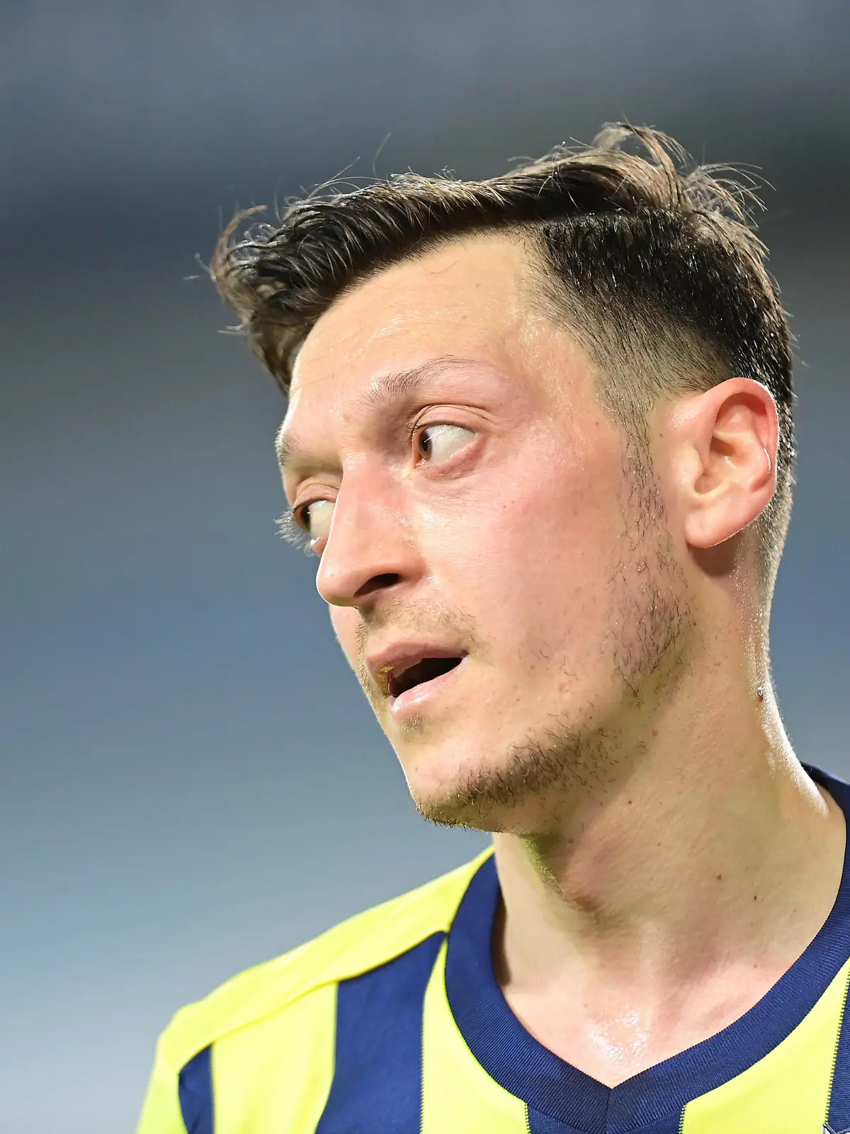 Mesut Özil, Fenerbahce Istanbul
