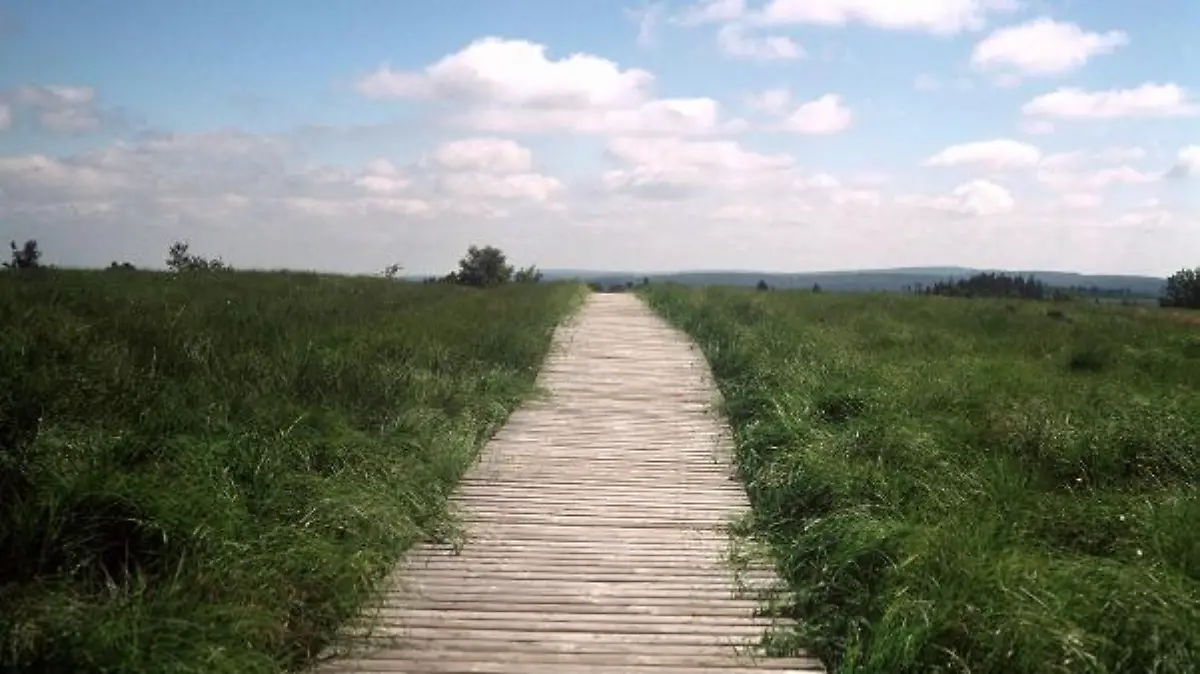 In die endlose Ferne scheint dieser Holzsteg zu führen, der durch eine Moorlandschaft im Hautes Vagnes (Hohes Venn) in den Ardennen in Belgien führt. (Aufnahme von 2000).