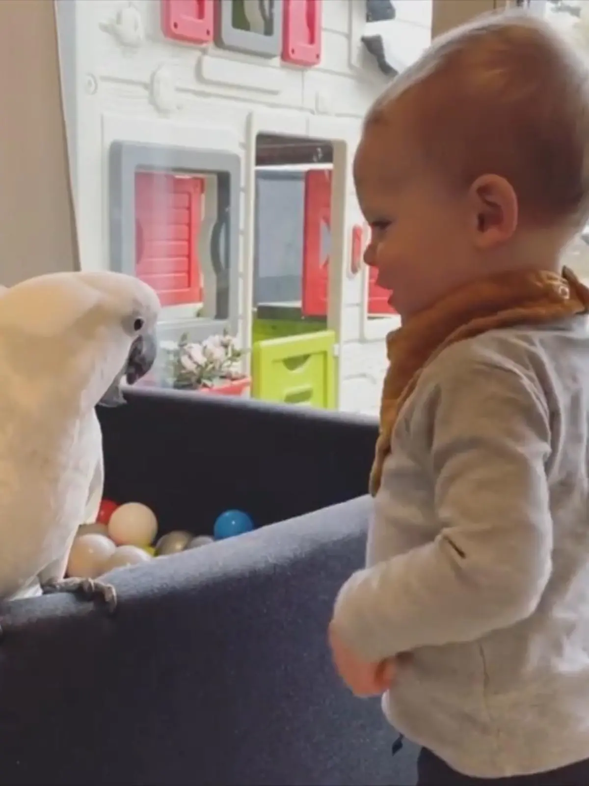Bild zu: "Remi und Marin sind unzertrennlich."