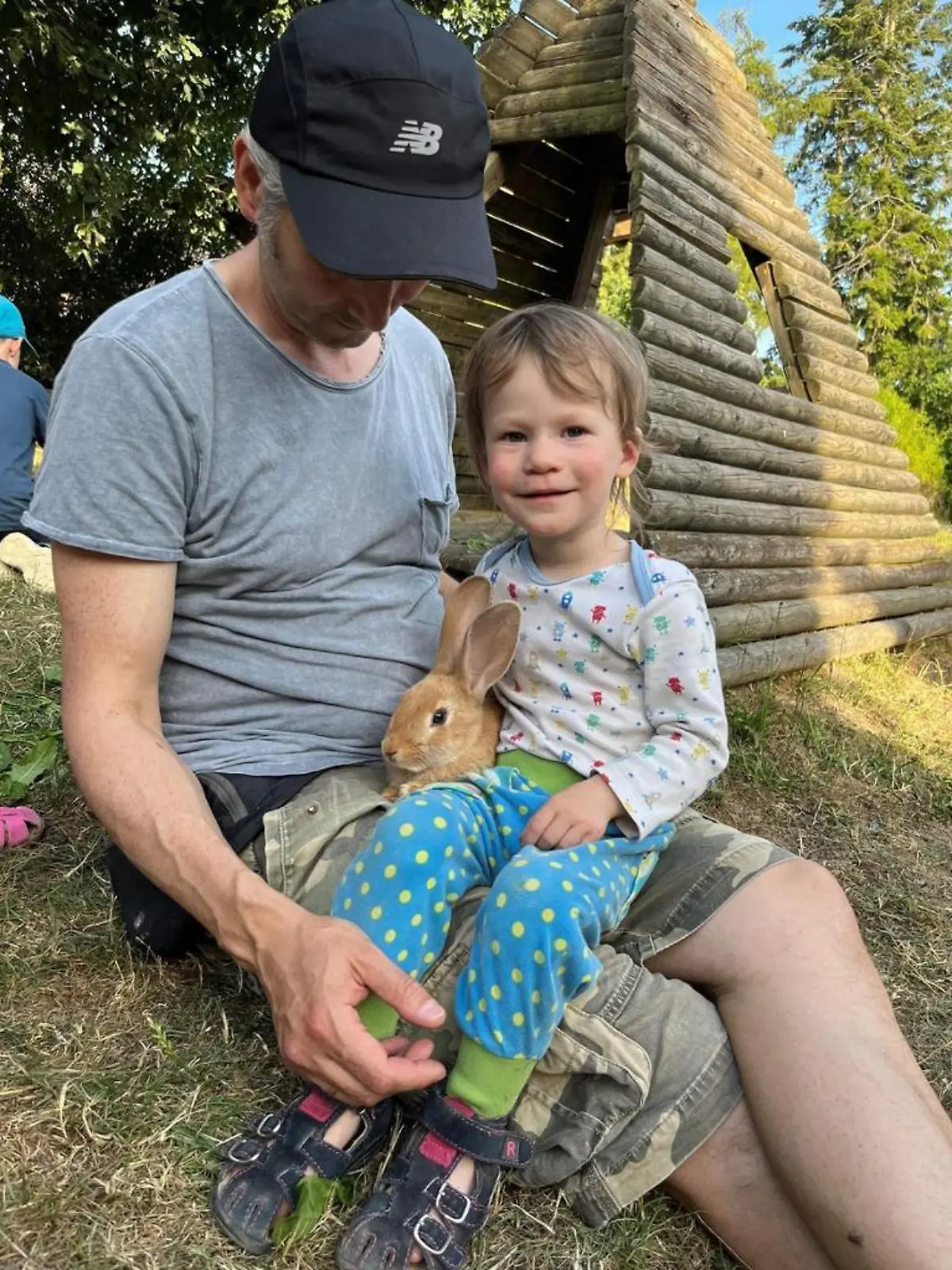 Svea