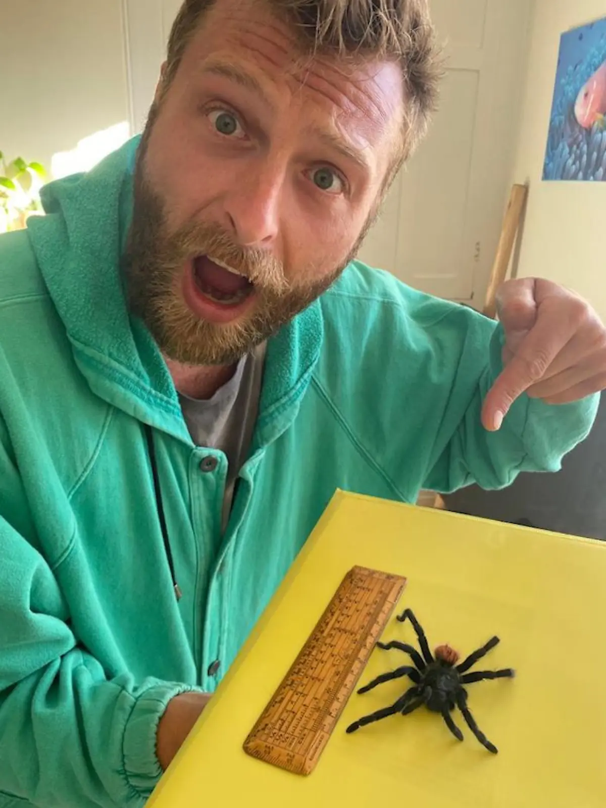 Das möchte wohl niemand in seinem Koffer entdecken: Eine XXL-Vogelspinne! Mit diesem Exemplar ist James Mugridge von Mexiko nach Großbritannien geflogen. Eigentlich wollte er in den zwei Wochen Urlaub gemeinsam mit seiner Freundin entspannen – nach der Landung ging sein Puls aber erstmal in die Höhe!