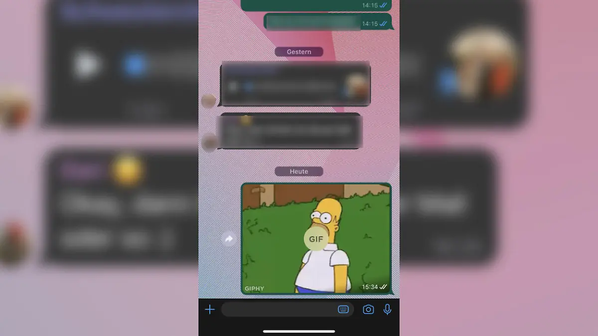 Exemplarischer WhatsApp-Chat mit GIF