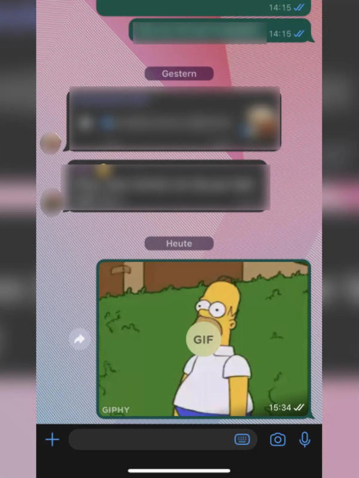 Exemplarischer WhatsApp-Chat mit GIF