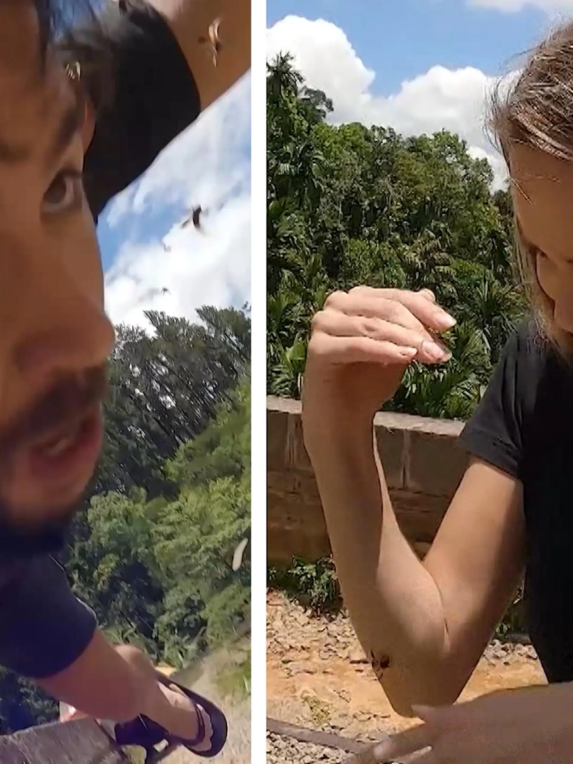 Sie überqueren eine der berühmtesten Touristenattracktionen von Sri Lanka. Plötzlich wird das frisch verheiratete Ehepaar von einem Bienenschwarm attackiert. Eine Überraschung ist das aber nicht.