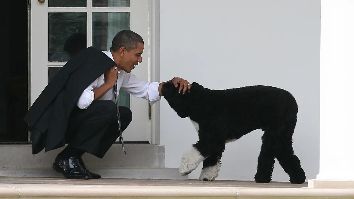 picture alliance / abaca | Abaca USA/ABACA