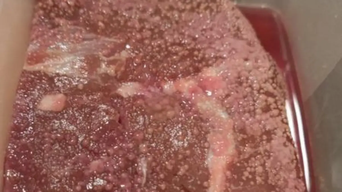 Einige Menschen verzehren bewusst vergammeltes Fleisch, um dadurch high zu werden.