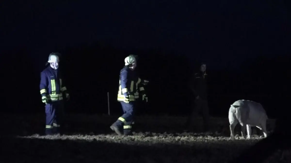 Brand in Wächtersbach: Manche Tiere mussten von den Einsatzkräften eingefangen werden.