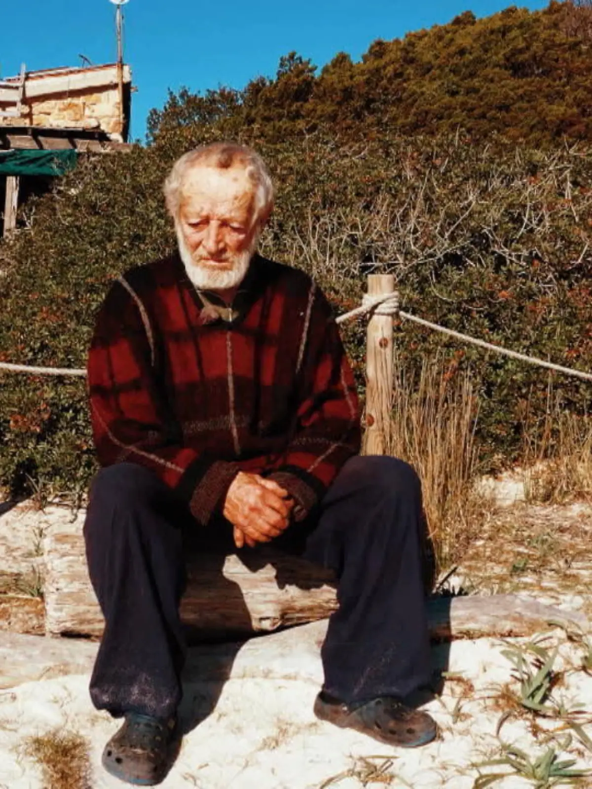 Mauro Morandi wird auch „Robinson Crusoe“ genannt, obwohl er das eigentlich hasst. Denn der Italiener lebt zwar ganz allein auf einer einsamen Insel – inzwischen seit fast 32 Jahren – aber im Gegensatz zu Crusoe will der 81-Jährige nicht weg! Genau das könnte ihm nun aber bevorstehen. RTL hat mit Mauro per Skype gesprochen – im Video.
