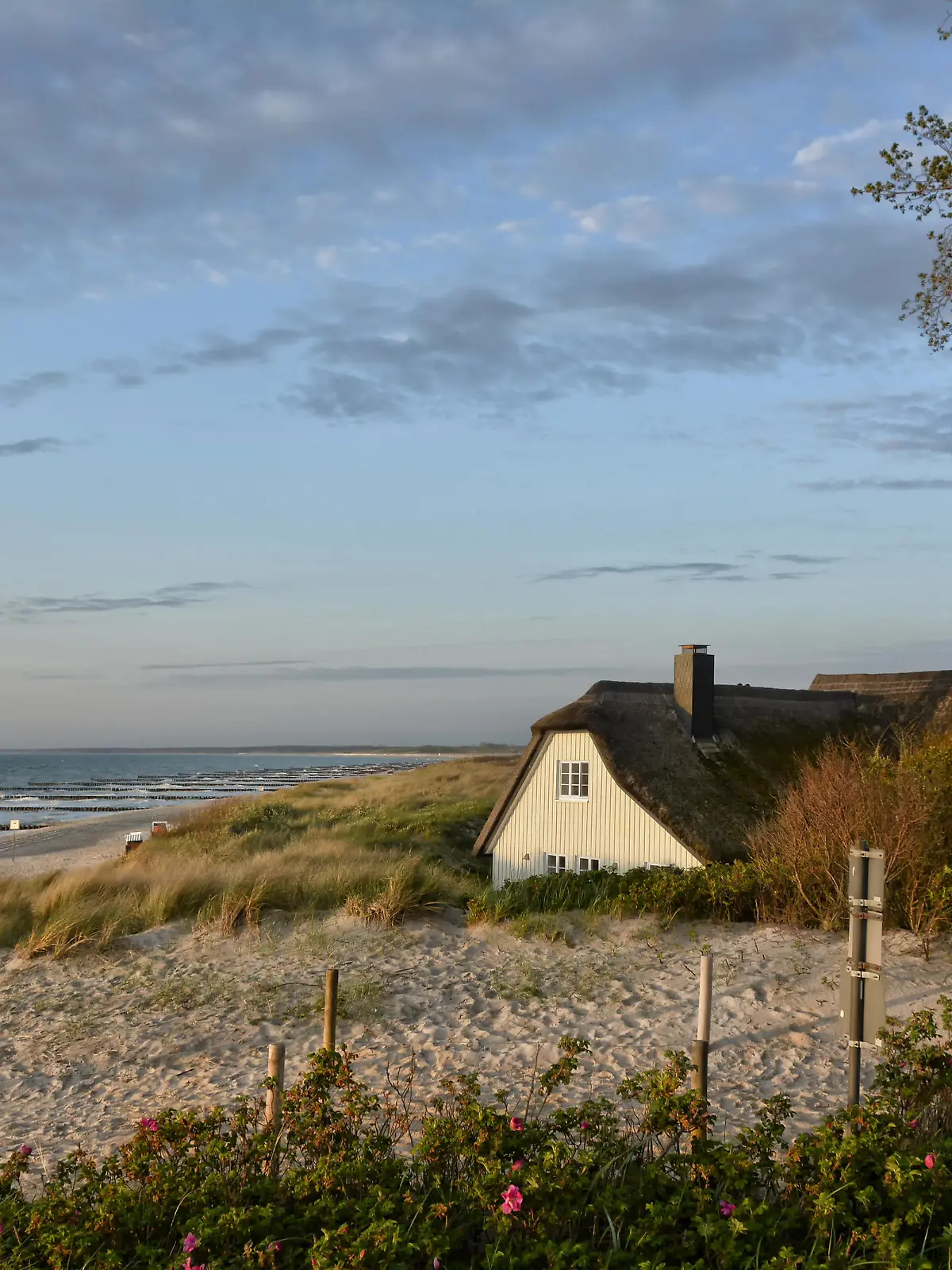 Das Ostseebad Ahrenshoop an der Ostseekueste der Halbinsel Fischland-Darss-Zingst mit seinem berühmten Stranduebergang in den Duenen