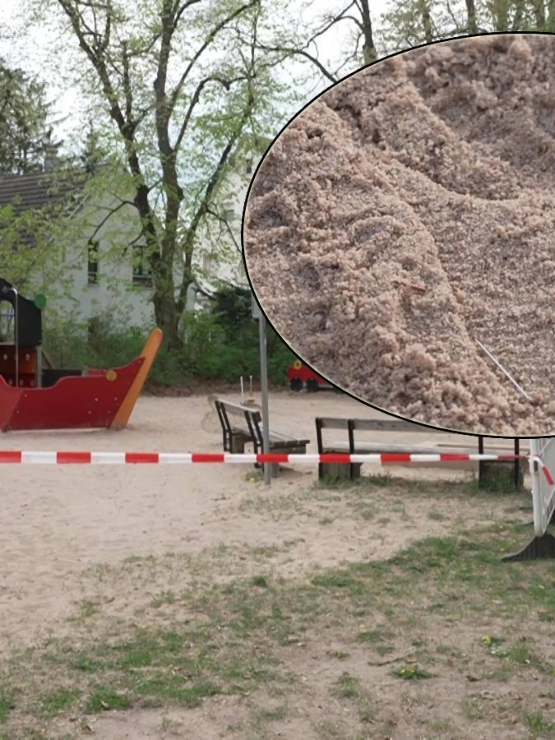 Bild zu: "Nadel-Horror im Steiner Stadtpark! Spielplatz wird zur gefährlichen Falle"