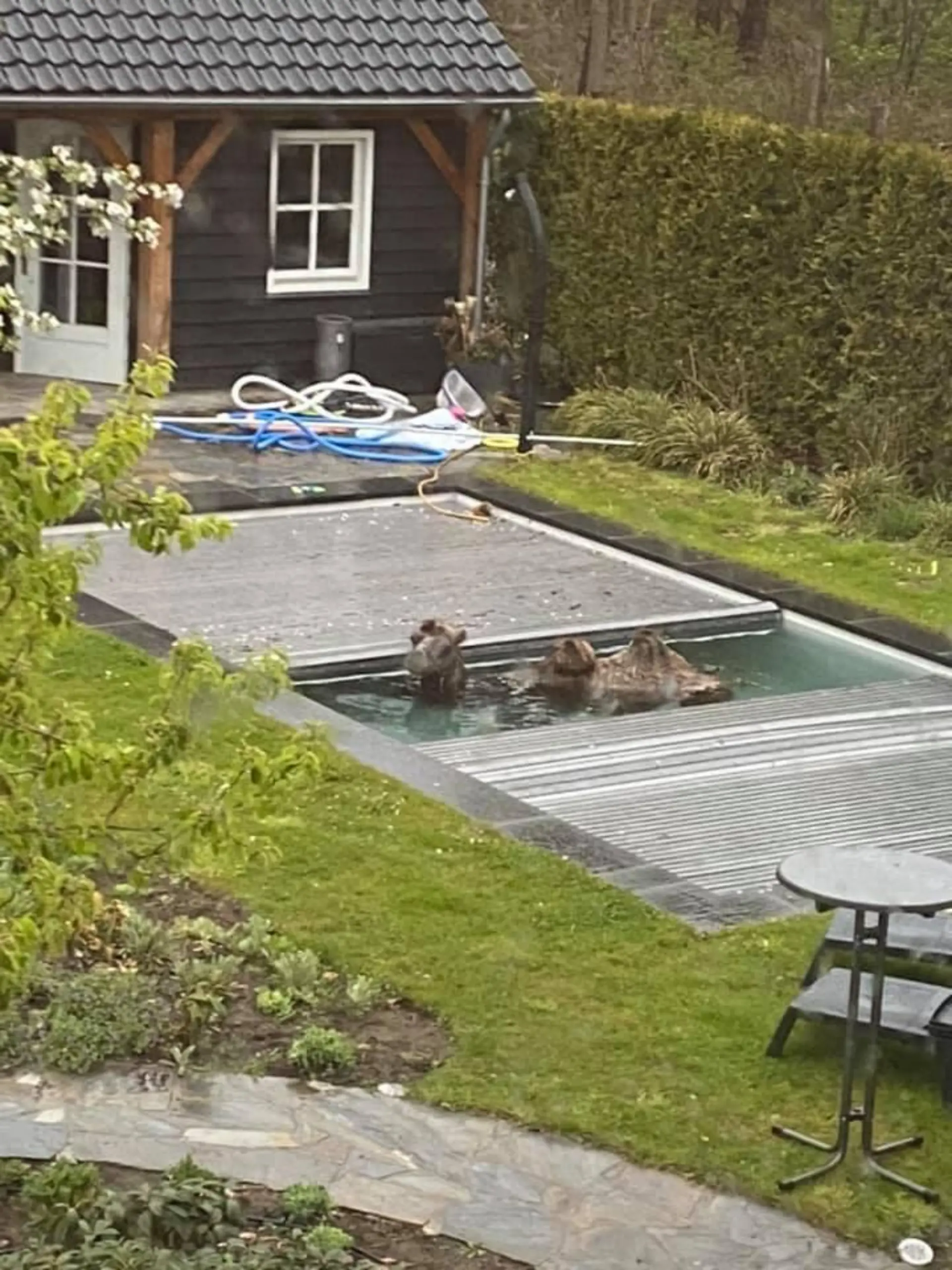 Endstation Swimmingpool