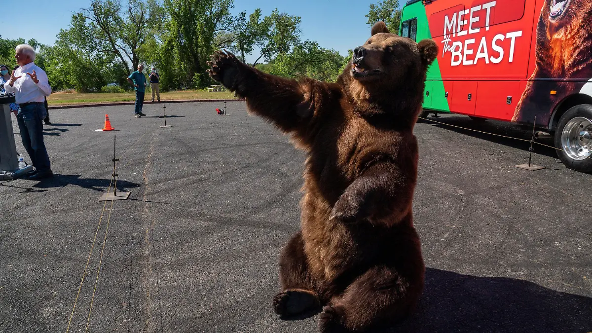 John Cox, far left, begins his recall campaign for California governor with "Tag," a Kodiak brown bear, on Tuesday, May 4, 2021 in Sacramento. It was the first stop for his "Meet the Beast" bus tour. (Renee C. Byer/The Sacramento Bee via AP)