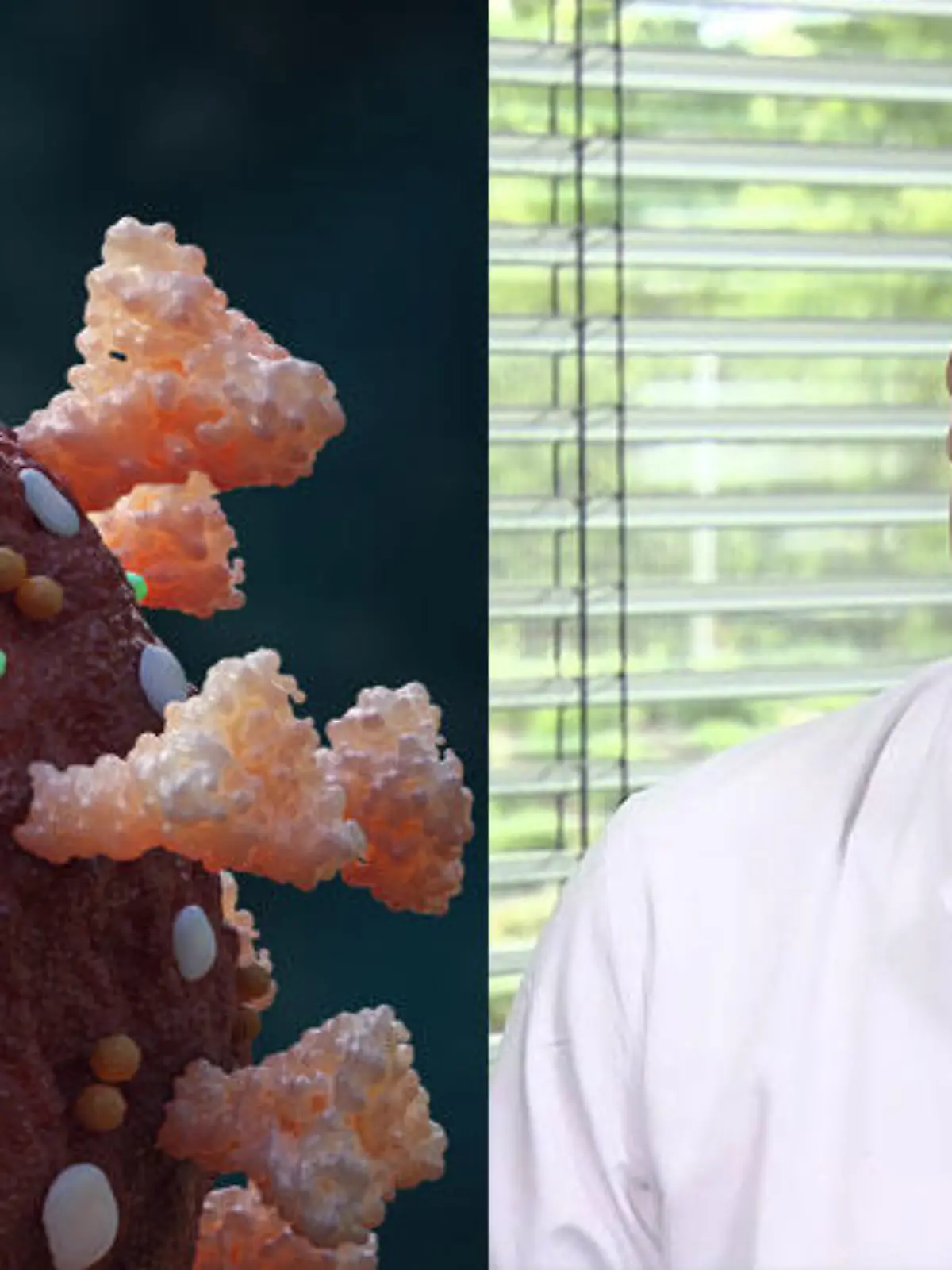 Neue Forschungen zeigen: Das Spike-Protein des Coronavirus ist auch ohne Virus gefäßschädigend. Dr. Georg-Christian Zinn, Direktor des Hygienezentrums Bioscientia, erklärt, was das nun für Therapie und Impfung bedeutet.