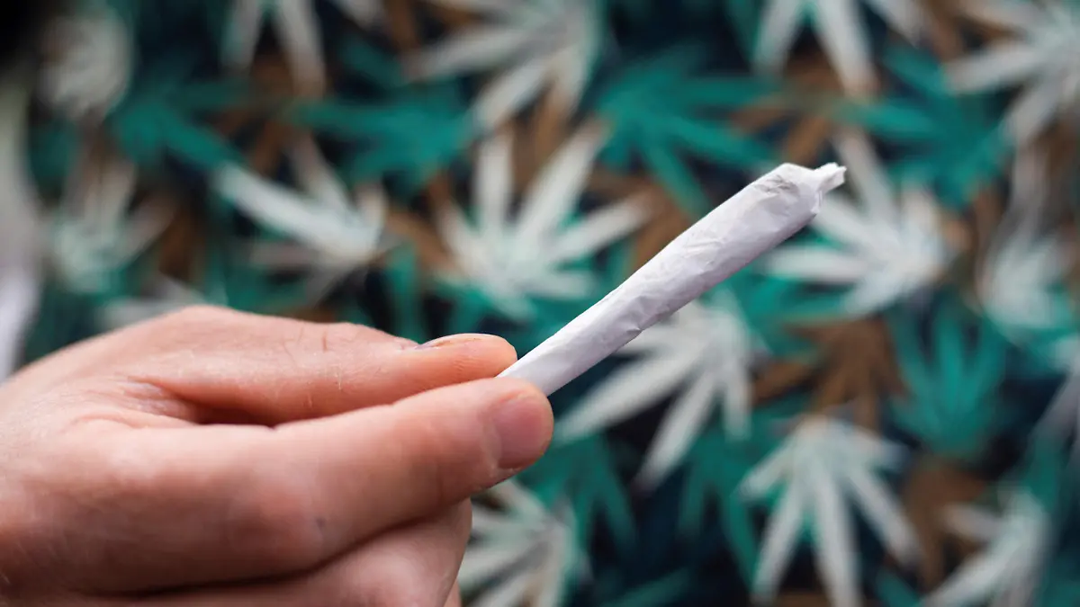 A Marijuana enthusiast takes part in the informal annual cannabis holiday, 4/20 (four-twenty), corresponding to the numerical figure widely recognized within the cannabis subculture as a symbol for all things related to marijuana, in Mexico City, Mexico, April 20, 2023. REUTERS/Quetzalli Nicte-Ha