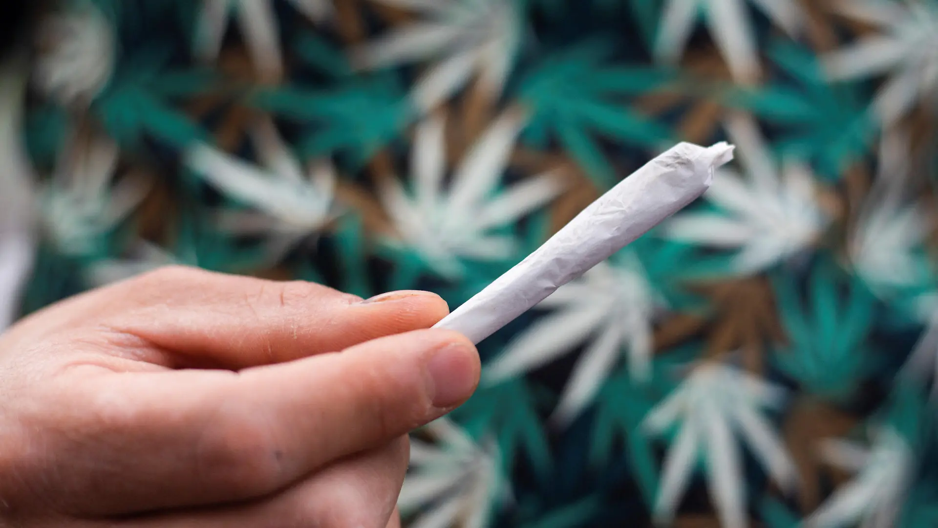 A Marijuana enthusiast takes part in the informal annual cannabis holiday, 4/20 (four-twenty), corresponding to the numerical figure widely recognized within the cannabis subculture as a symbol for all things related to marijuana, in Mexico City, Mexico, April 20, 2023. REUTERS/Quetzalli Nicte-Ha