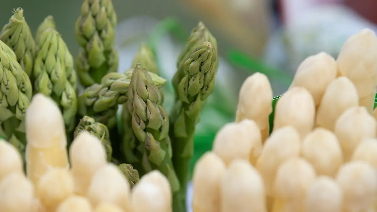 ARCHIV - 06.04.2022, Hessen, Weiterstadt: Grüner und weißer Spargel aus regionalem Anbau stecken in einem Korb. Das Stangengemüse hat wieder Hochsaison: Es ist wieder Spargel-Hype. Doch vielleicht weniger als früher? Es gibt Anzeichen, dass die Deutschen langsam aber sicher dem weißen Spargel den Rücken kehren. (zu dpa "Warum die Spargel-Liebe ausstirbt") Foto: Sebastian Christoph Gollnow/dpa +++ dpa-Bildfunk +++