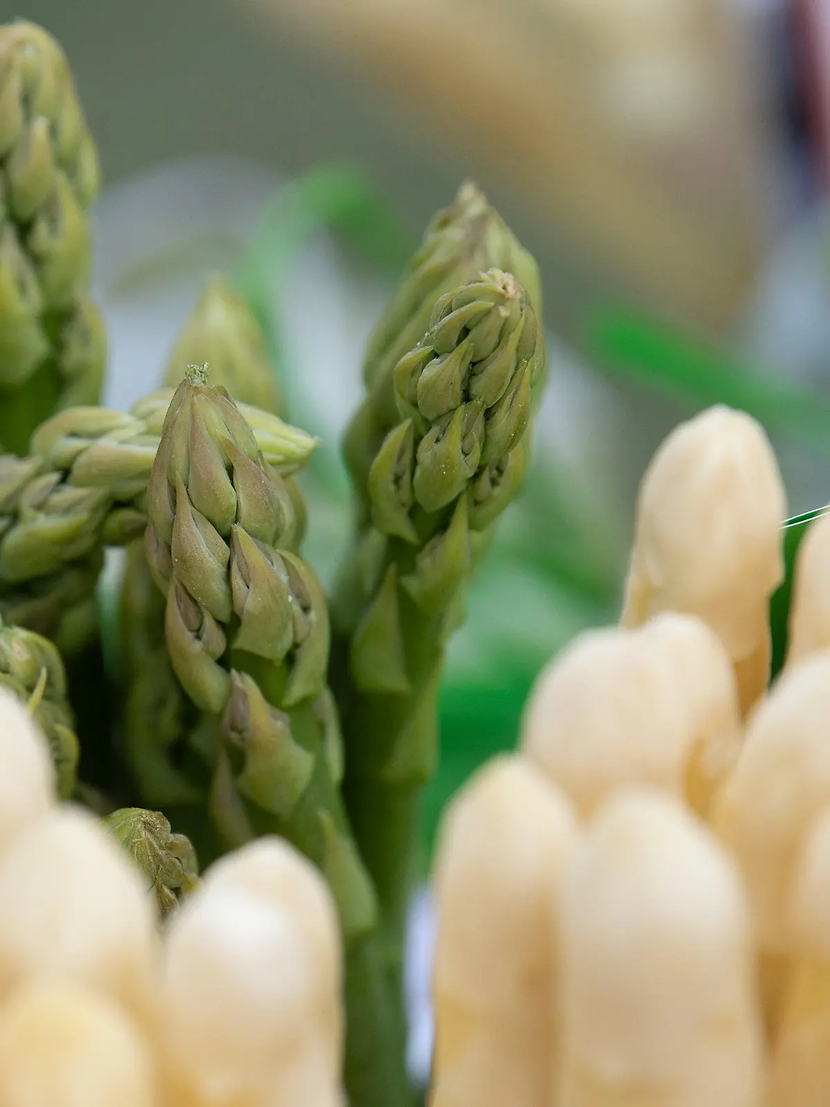 ARCHIV - 06.04.2022, Hessen, Weiterstadt: Grüner und weißer Spargel aus regionalem Anbau stecken in einem Korb. Das Stangengemüse hat wieder Hochsaison: Es ist wieder Spargel-Hype. Doch vielleicht weniger als früher? Es gibt Anzeichen, dass die Deutschen langsam aber sicher dem weißen Spargel den Rücken kehren. (zu dpa "Warum die Spargel-Liebe ausstirbt") Foto: Sebastian Christoph Gollnow/dpa +++ dpa-Bildfunk +++