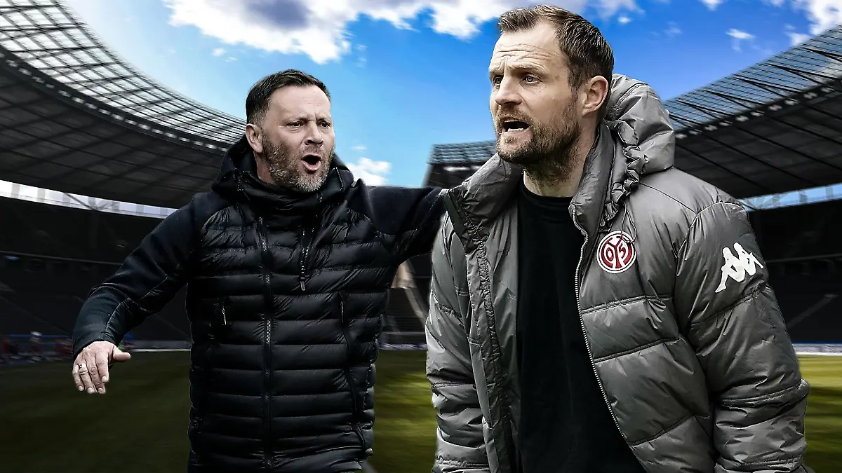 Dardai, Svensson