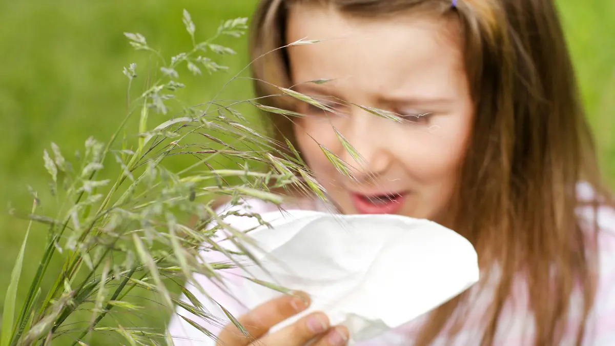 Maedchen mit Heuschnupfen, Deutschland | girl with hayfever, Germany