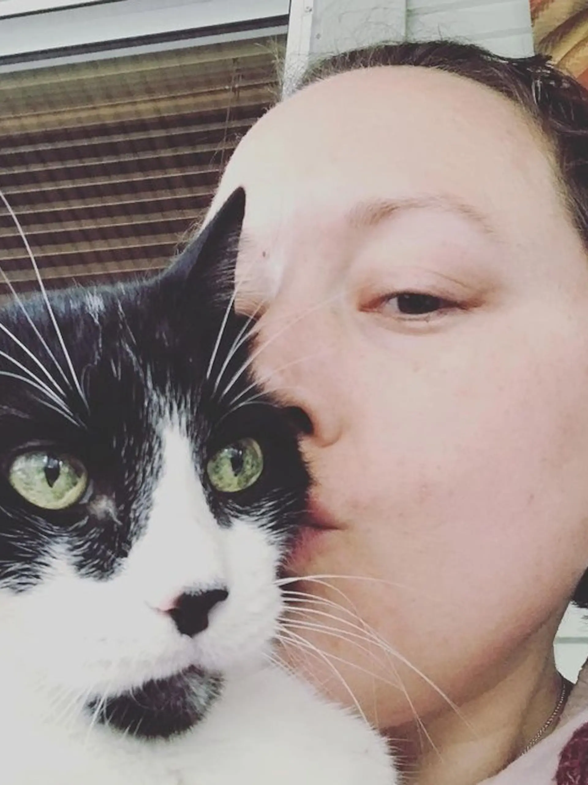 Kate und ihr Kater Oggy, Minnesota, USA
