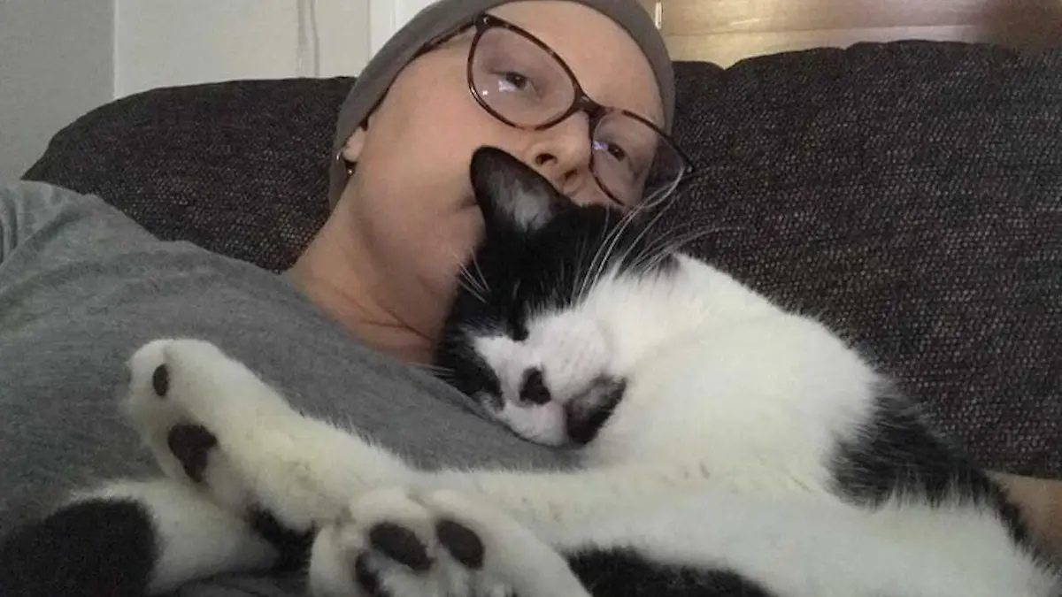 Kater Oggy liegt auf Kates Brust