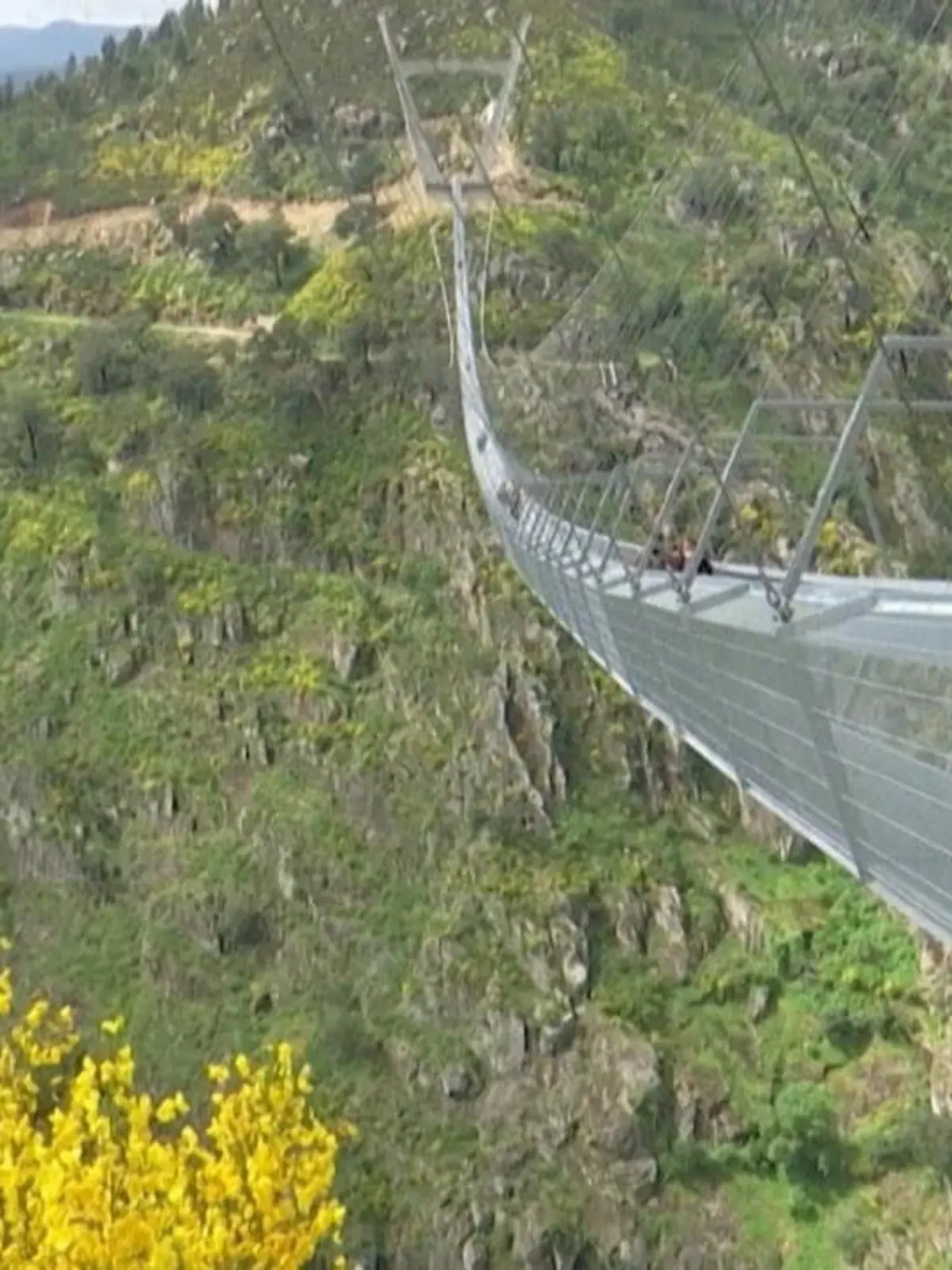 Bild zu: "Hängebrücke in 175 Metern Höhe"