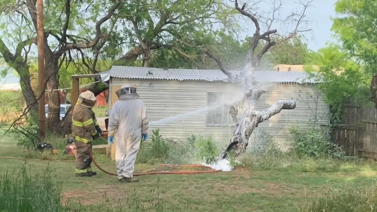 Feuerwehrleute in Schutzausrüstung spritzen Schaum auf den Bienenstock.