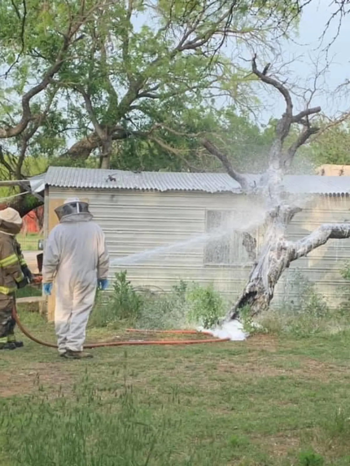 Feuerwehrleute in Schutzausrüstung spritzen Schaum auf den Bienenstock.