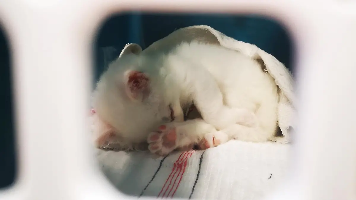 Hauptzollamt Düsseldorf