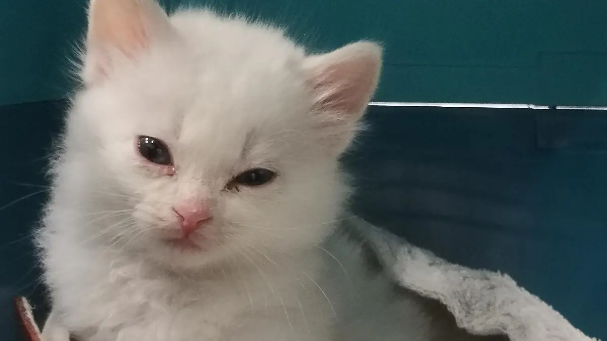 Hauptzollamt Düsseldorf