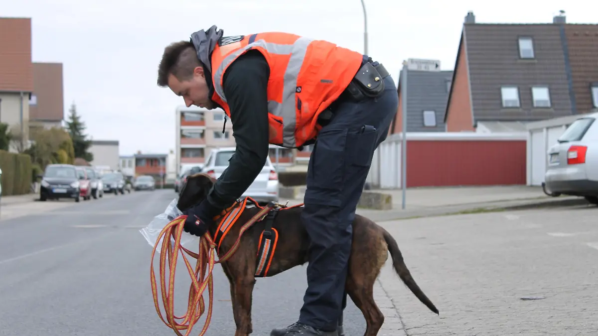 Polizeihund "Amber" mit Polizeikommissar Timo Schulz