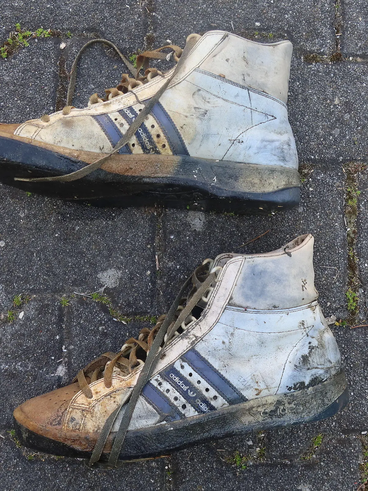 HANDOUT - 27.04.2021, Bayern, Starnberg: Ein Paar relativ gut erhaltene Turnschuhe liegt auf dem Boden - Taucher haben es bei Skelettteilen im Starnberger See gefunden.    (zu dpa «Menschliche Knochen bei Tauchübung im Starnberger See gefunden») Foto: Polizeipräsidium Oberbayern Nord/dpa - ACHTUNG: Nur zur redaktionellen Verwendung im Zusammenhang mit der aktuellen Berichterstattung und nur mit vollständiger Nennung des vorstehenden Credits +++ dpa-Bildfunk +++