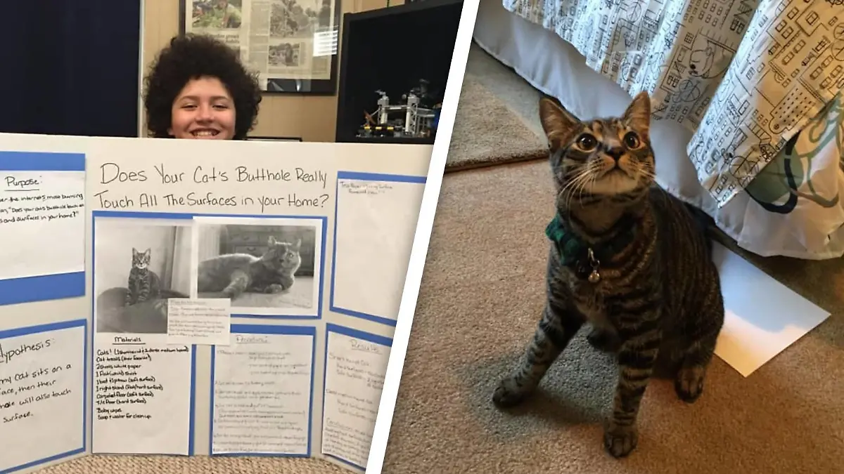 Kaeden präsentiert sein Plakat: ""Berührt das Poloch deiner Katze wirklich alle Oberflächen in deinem Haus?"