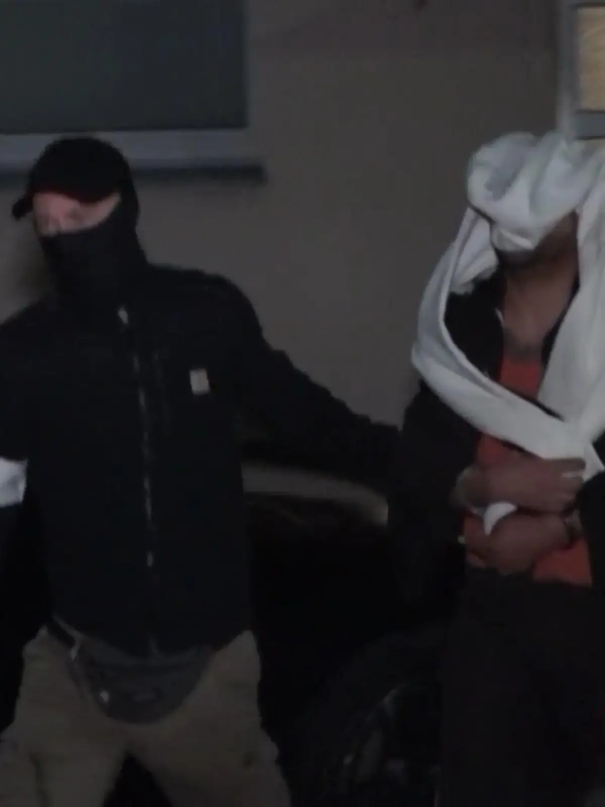 Bild zu: "Internationale Razzia gegen Mafia"