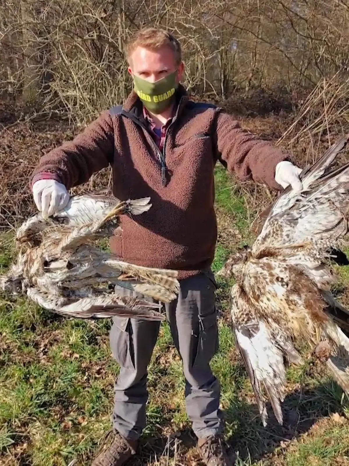 Bild zu: "Komitee in Heinsberg gegen Vogelmord"