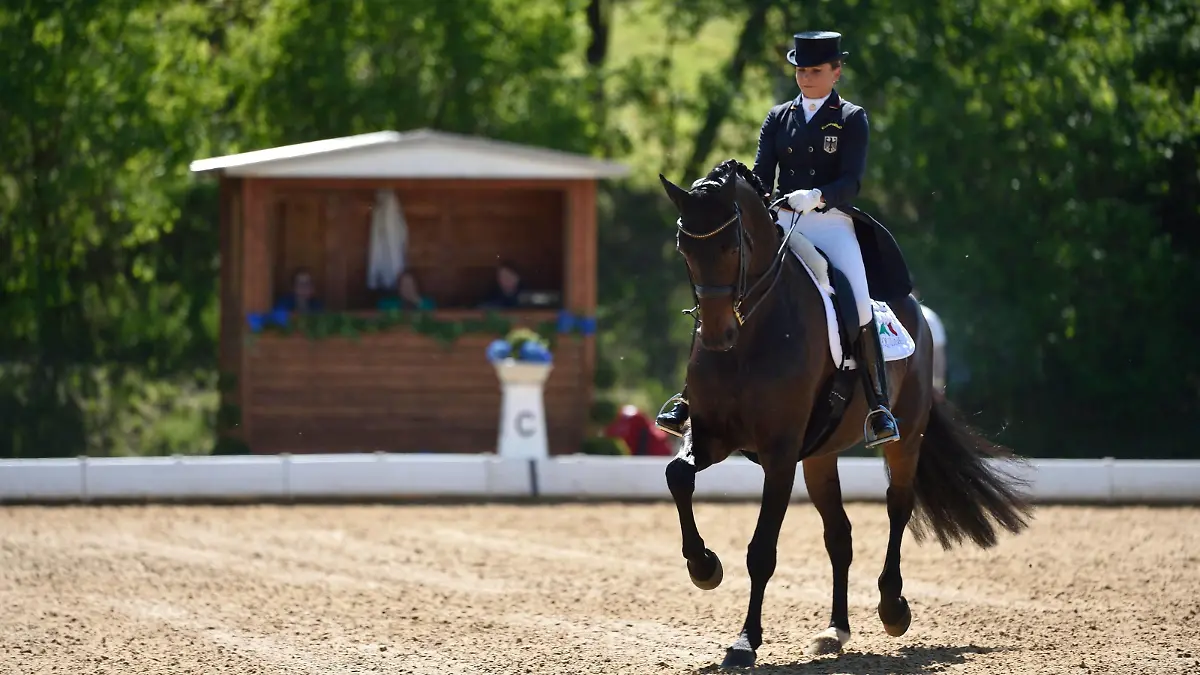 Dorothee Schneider, GER, auf Fohlenhofs Rock n Rose, Preis der Meggle-Gruppe. Dressurpruefung FEI Grand Prix Special CDI 3 Sterne, Pferd International Muenchen, 06.05.16

Dorothee Schneider ger on  Rock n Rose Prize the Meggle Group Dressurpruefung Fei Grand Prix Special CDI 3 Stars Horse International Munich 06 05 16  