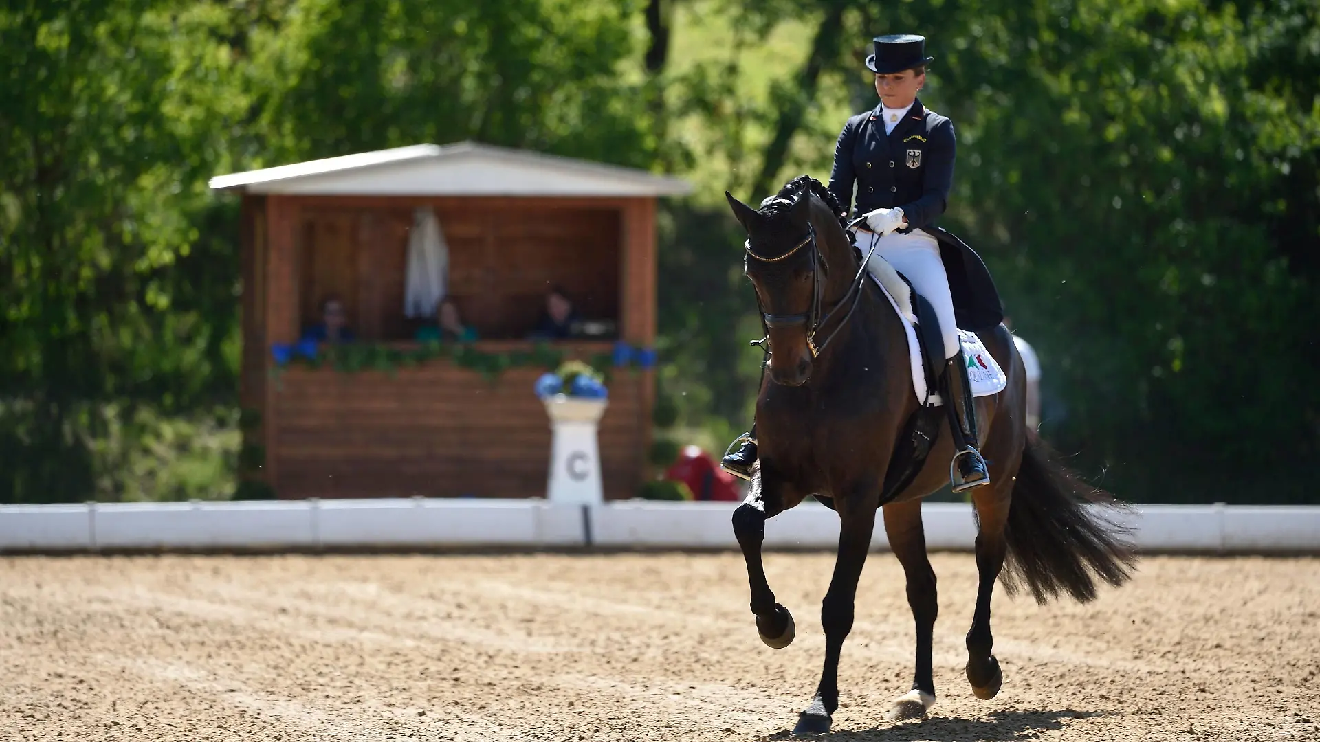 Dorothee Schneider, GER, auf Fohlenhofs Rock n Rose, Preis der Meggle-Gruppe. Dressurpruefung FEI Grand Prix Special CDI 3 Sterne, Pferd International Muenchen, 06.05.16

Dorothee Schneider ger on  Rock n Rose Prize the Meggle Group Dressurpruefung Fei Grand Prix Special CDI 3 Stars Horse International Munich 06 05 16  